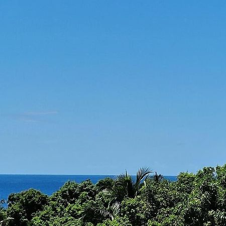Joli T2 En Bas De Villa Vue Jardin Et Mer วิเยอซาบิตอง ภายนอก รูปภาพ